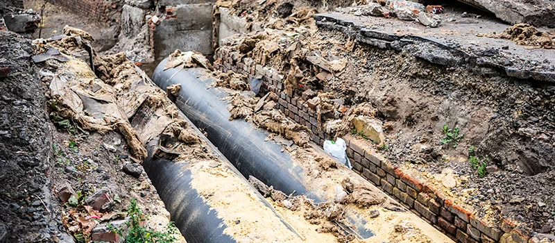 Commercial Sewer Tree Roots Damage Solutions in Vanier, Oshawa