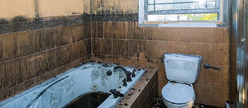 Residential Water Damage Restoration in Vanier, Oshawa