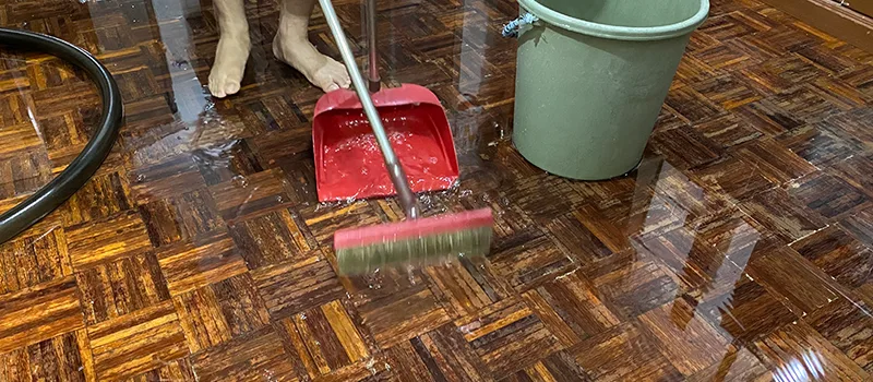 Water Removal And Restoration Services in Vanier, Oshawa
