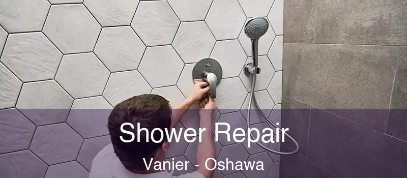  Shower Repair Vanier - Oshawa