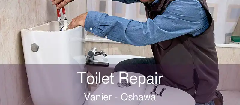  Toilet Repair Vanier - Oshawa